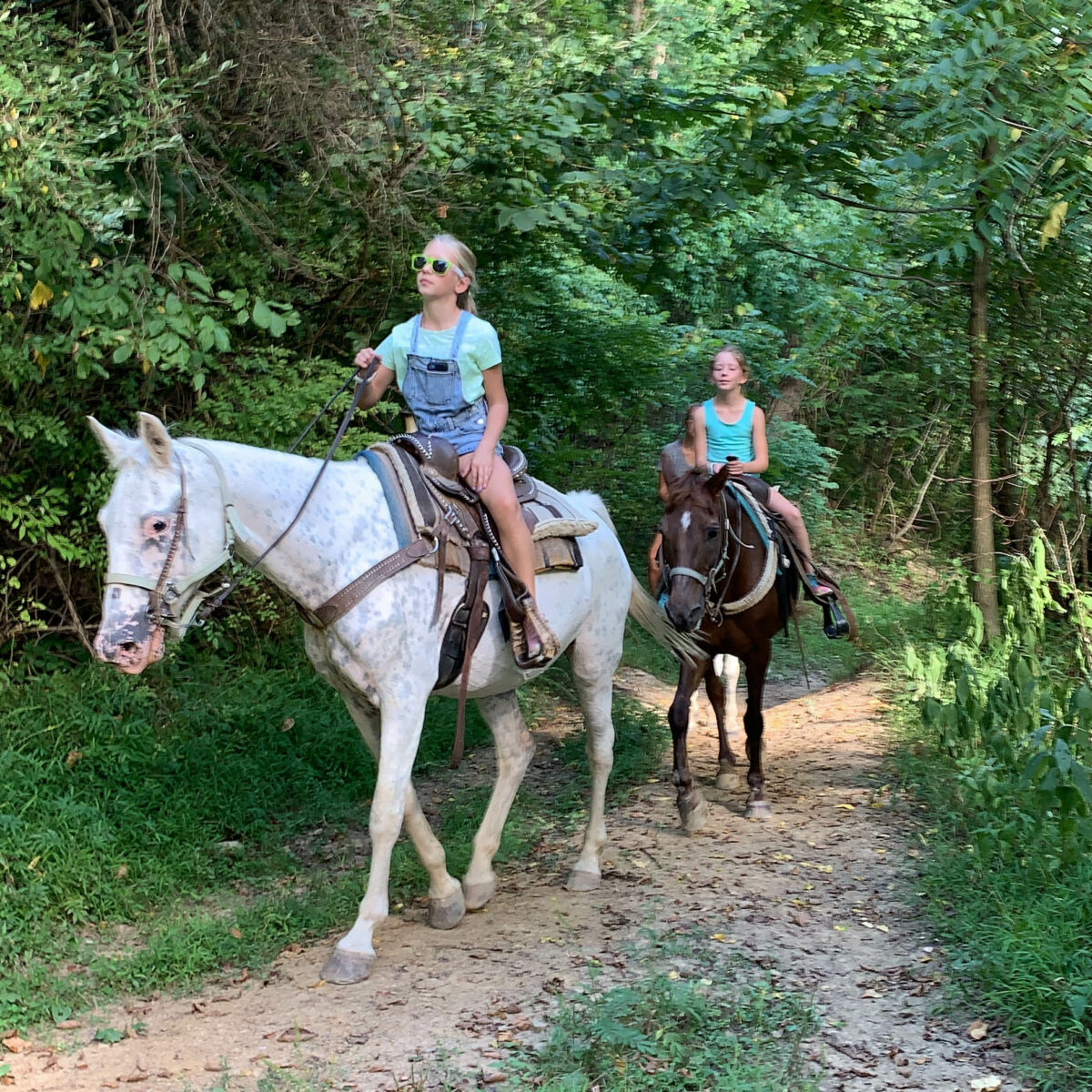 Horseback Riding Ranch Near Me